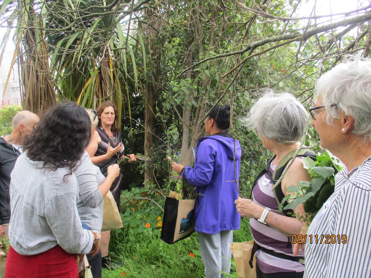 Rongoa workshop - learning about native plants