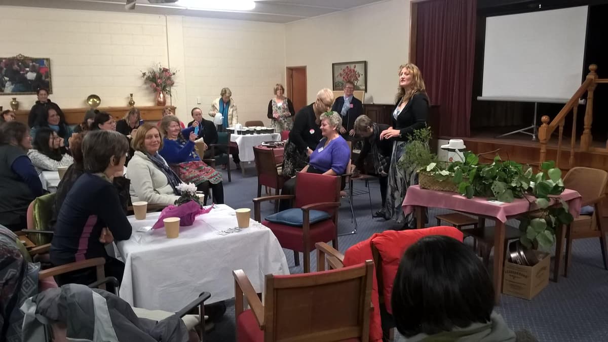 Community presentation on traditional medicine